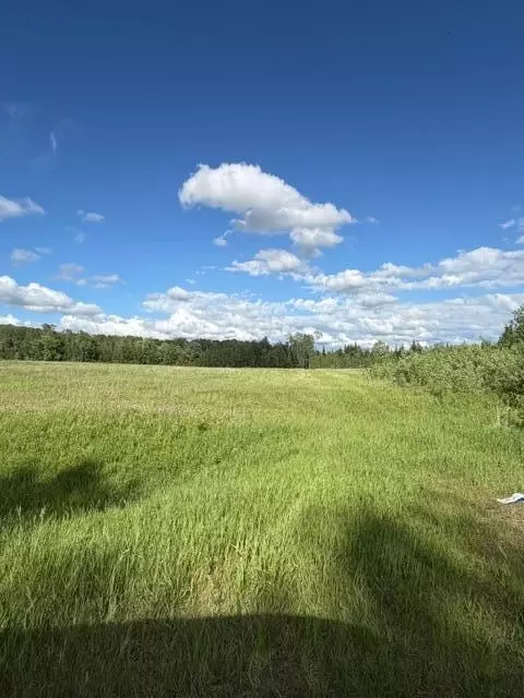 tbd County 63, Boy River, MN 56672