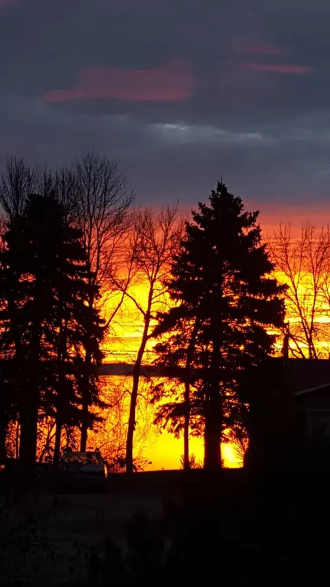 22567 Csah 14, Darwin, MN 55324