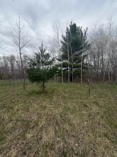 tbd Ottawa, Browerville, MN 56438
