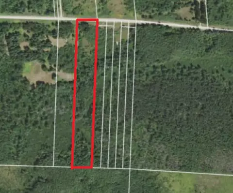 tbd County Rd 55, Nashwauk, MN 55769