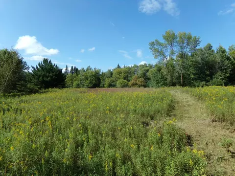 67 Nn Old Sawmill Rd, Harris, MN 55032