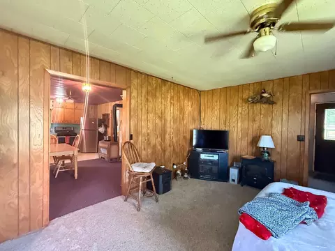 Other - 35711 Rush Lake Loop, Ottertail, MN 56571 photo 4 of 15