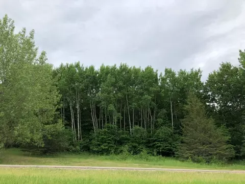 27945 Timber Lane Rd, Paynesville, MN 56362