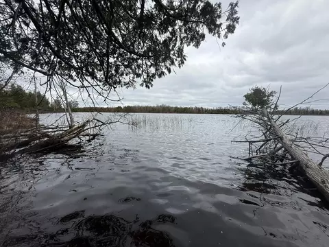 31938 E Gunn Lake Trl, Marcell, MN 56657