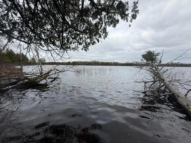 31938 E Gunn Lake Trl, Marcell, MN 56657
