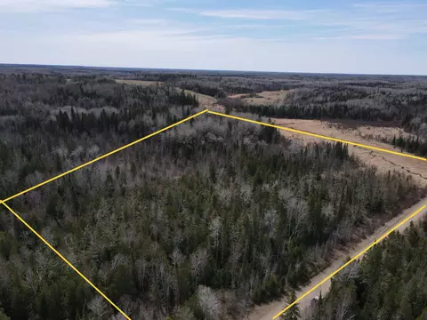 tbd Co Rd 40, Effie, MN 56639