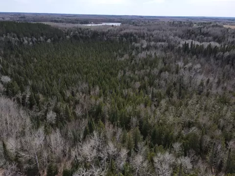 tbd Co Rd 40, Effie, MN 56639