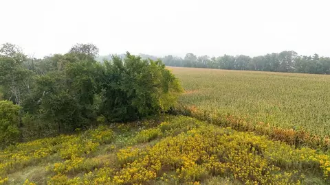 tbd Goat Back Rd, Pepin, WI 54759