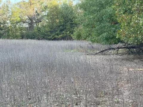 tbd Nightingale St, Braham, MN 55006 photo 51