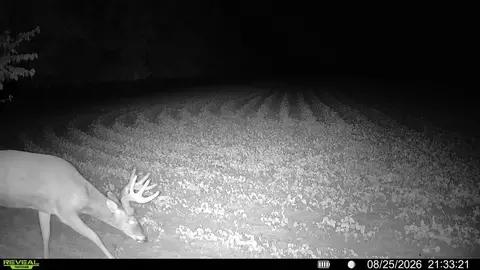 tbd Nightingale St, Braham, MN 55006 photo 2
