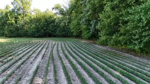 tbd Nightingale St, Braham, MN 55006 photo 6