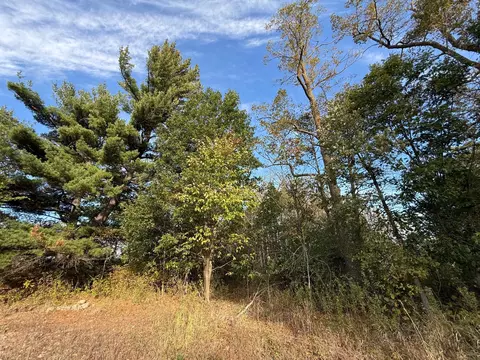 tbd Nightingale St, Braham, MN 55006 photo 56