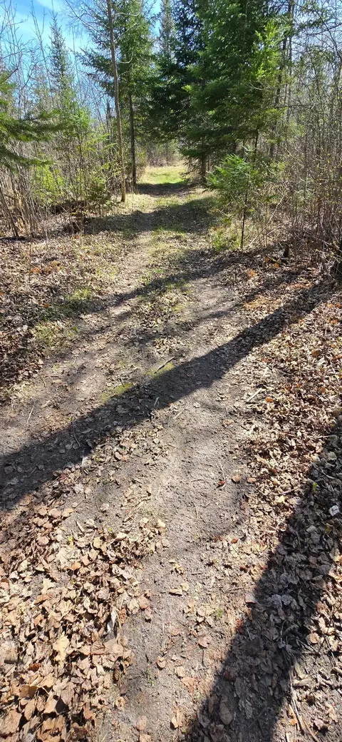 Other - 17801 Bear Crk, Angle Inlet, MN 56711 photo 3 of 13