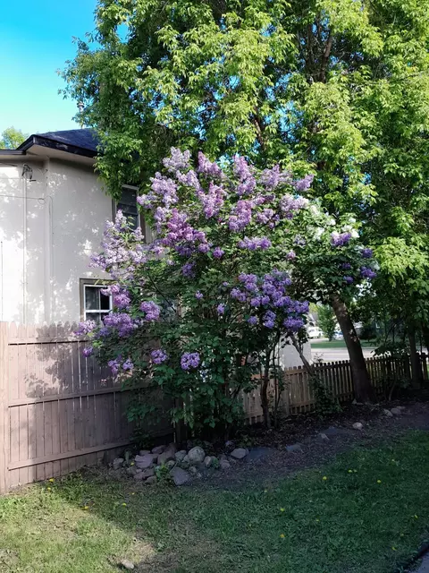 Exterior - 1415 Oak St, Brainerd, MN 56401 photo 4 of 6