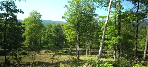83 Nnn - Lot 12 Ashwabay Rd, Bayfield, WI 54814