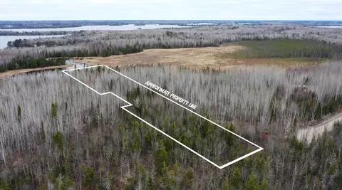 tbd Parcel 15 Hwy 115, Tower, MN 55790