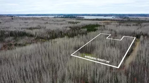 tbd Parcel 20 Hwy 115, Tower, MN 55790