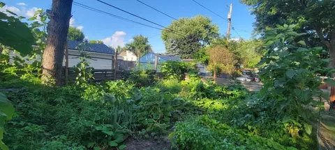 Exterior - 1805 Case Ave E, Saint Paul, MN 55119 photo 4 of 4