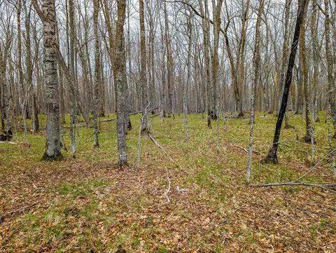 tbd 235th Pl, Mcgregor, MN 55760 photo 2