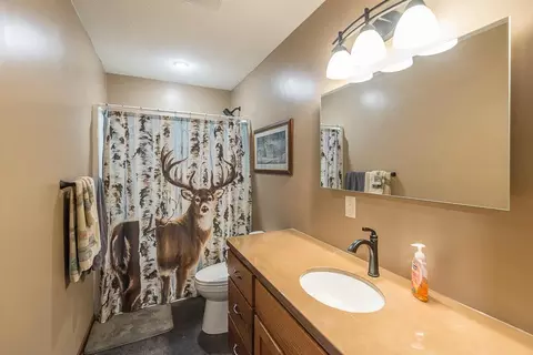 Bath - 19450 W Tranquility Dr, Brainerd, MN 56401 photo 2 of 2
