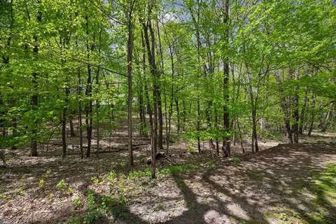 Exterior - 20545 Linden Rd, Deephaven, MN 55331 photo 18 of 18