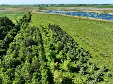 tbd 60th St, Blue Earth, MN 56013