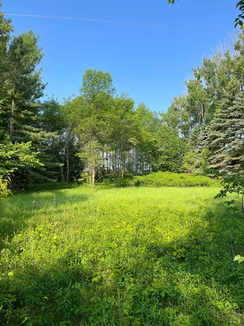 tbd Wild Rose Trl, Frazee, MN 56544