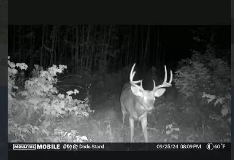 tbd Us Hwy 2, Bagley, MN 56621