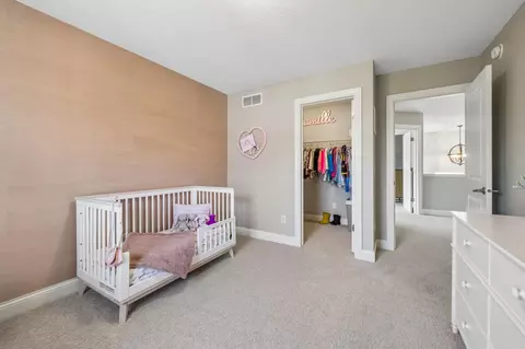 3933 Holasek Path, Chaska, MN 55318 photo 41