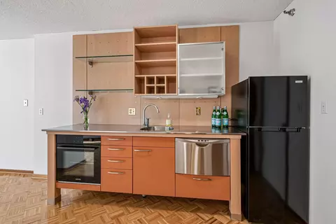 1225 Lasalle Ave #301, Minneapolis, MN 55403