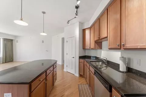 Kitchen - 500 E Grant St #1402, Minneapolis, MN 55404 photo 3 of 5