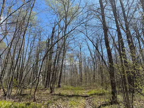 n10439 Tranus Lake Road, Springbrook, WI 54875 photo 36