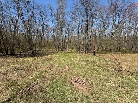 n10439 Tranus Lake Road, Springbrook, WI 54875 photo 4