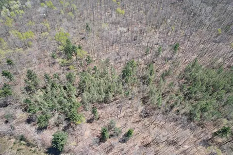 n10439 Tranus Lake Road, Springbrook, WI 54875 photo 52