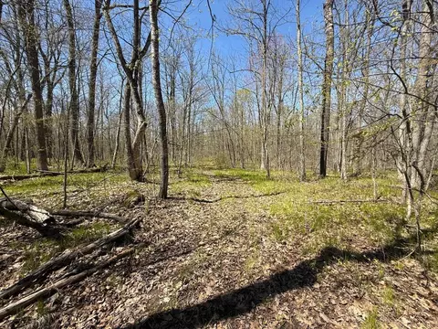 n10439 Tranus Lake Road, Springbrook, WI 54875 photo 8