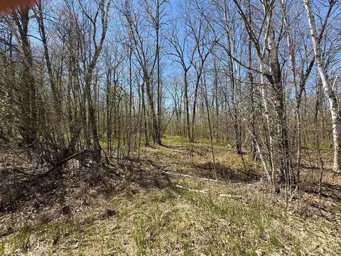 n10439 Tranus Lake Road, Springbrook, WI 54875 photo 6