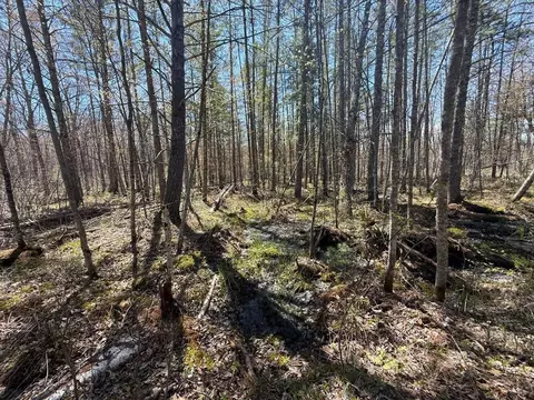 n10439 Tranus Lake Road, Springbrook, WI 54875 photo 22