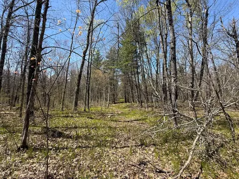 n10439 Tranus Lake Road, Springbrook, WI 54875 photo 18