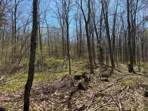 n10439 Tranus Lake Road, Springbrook, WI 54875 photo 34