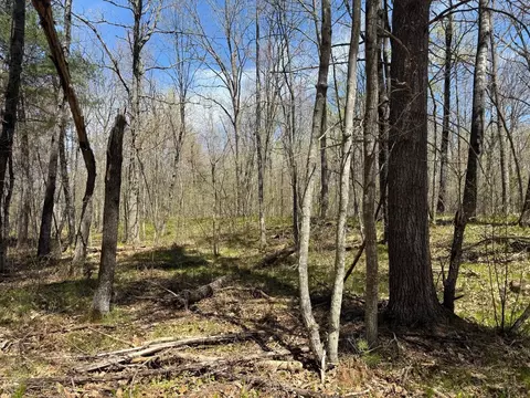 n10439 Tranus Lake Road, Springbrook, WI 54875 photo 35