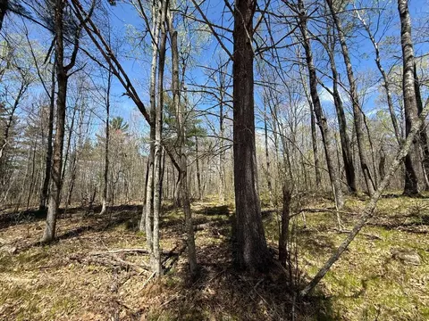 n10439 Tranus Lake Road, Springbrook, WI 54875 photo 21