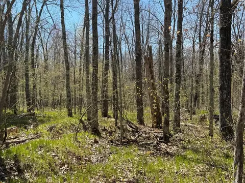 n10439 Tranus Lake Road, Springbrook, WI 54875 photo 15