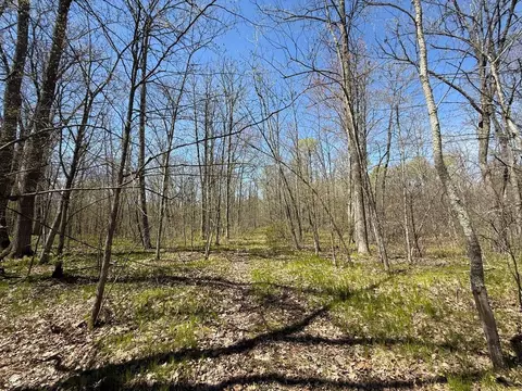 n10439 Tranus Lake Road, Springbrook, WI 54875 photo 9