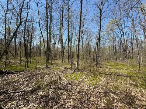 n10439 Tranus Lake Road, Springbrook, WI 54875 photo 10