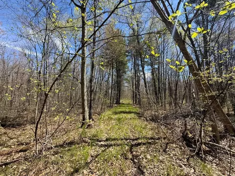 n10439 Tranus Lake Road, Springbrook, WI 54875 photo 31