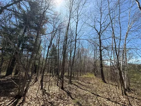 n10439 Tranus Lake Road, Springbrook, WI 54875 photo 28