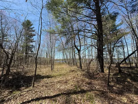 n10439 Tranus Lake Road, Springbrook, WI 54875 photo 25