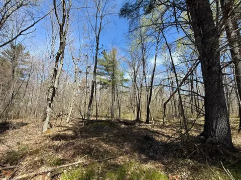 n10439 Tranus Lake Road, Springbrook, WI 54875 photo 32