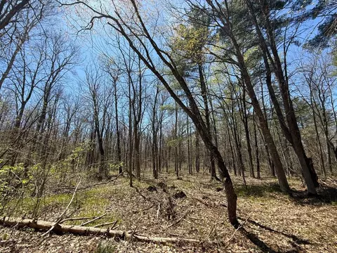 n10439 Tranus Lake Road, Springbrook, WI 54875 photo 20