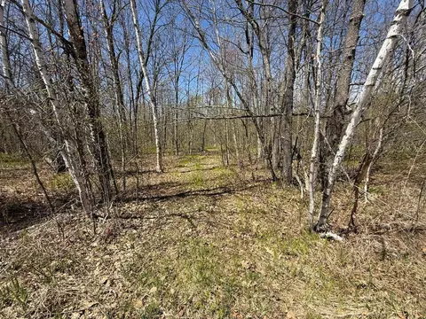n10439 Tranus Lake Road, Springbrook, WI 54875 photo 7